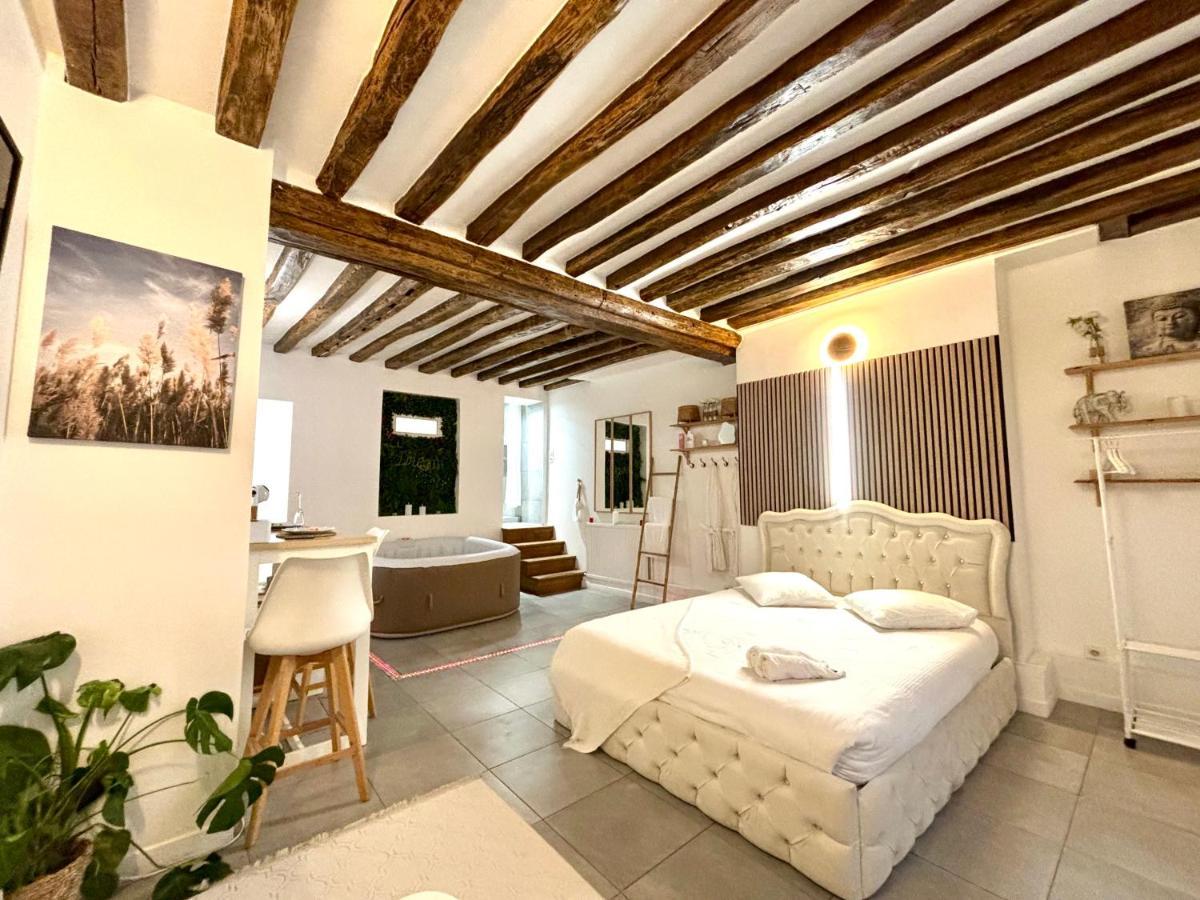Moderne Avec Jacuzzi Apartment *